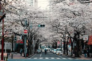 Que faire à Tokyo en 1 jour ?
