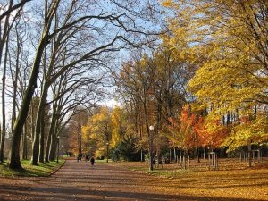 Que faire à Lyon le dimanche ?