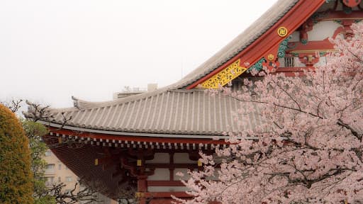 Les lieux insolites de Tokyo : un temple avec des cerisiers