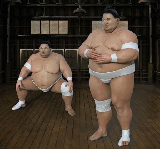 Les temples d’entraînement de sumo de Tokyo durant vos 6 jours de vacances