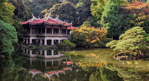Le jardin Shinjuku Gyoen pour vos 6 jours à Tokyo