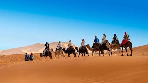 Un tour dans le désert à dos de chameau à Marrakech