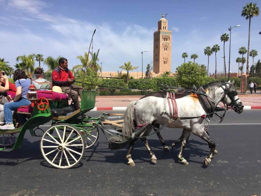 Tour de calèche à Marrakech