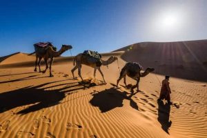Aller dans le désert de Marrakech durant vos vacances de 7 jours