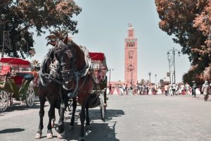 Que faire à Marrakech en 3 jours ?