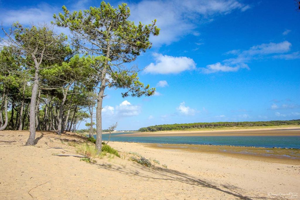 sable sur la plage du Veillon