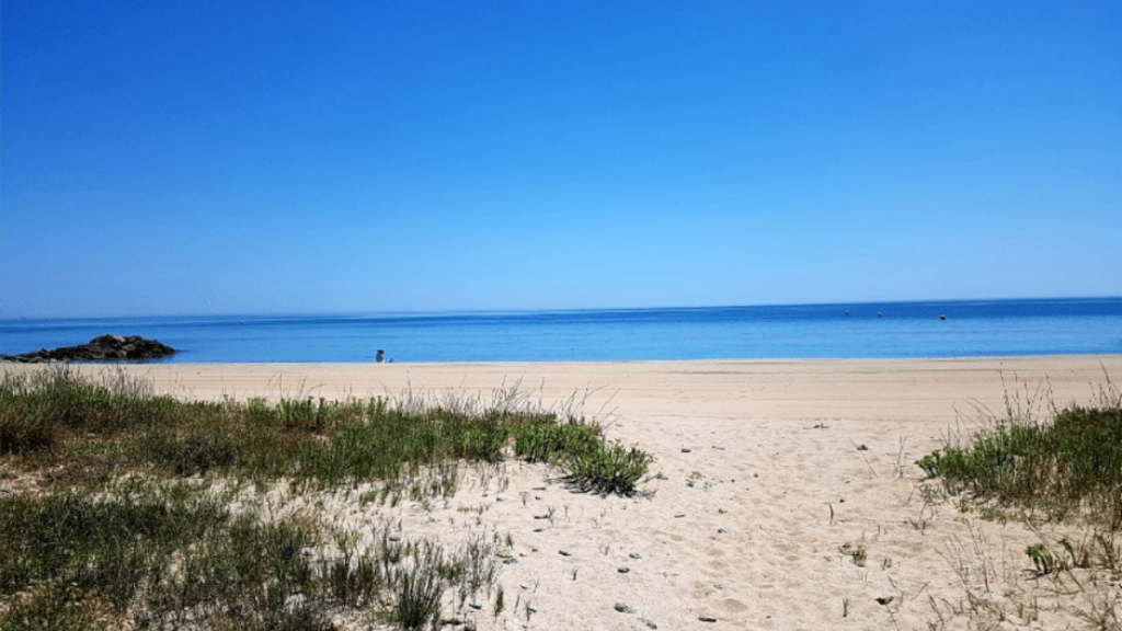 Plage-frontignan, belle vue ensoleillée