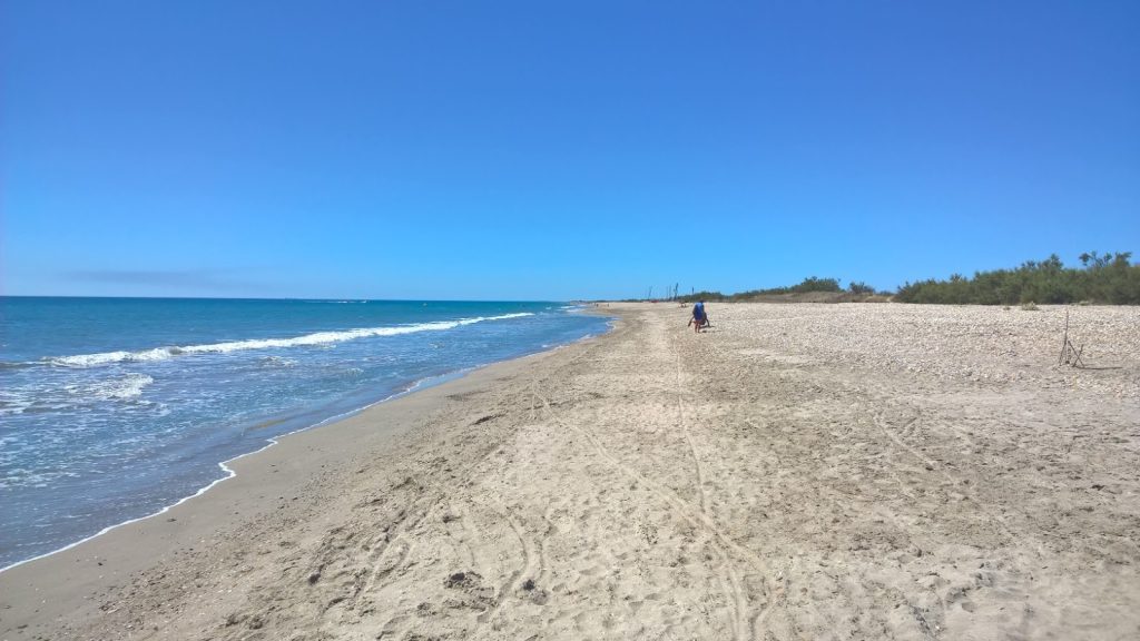 plage des aresquiers à Frontignan