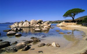 Les plages de l'île de Ré