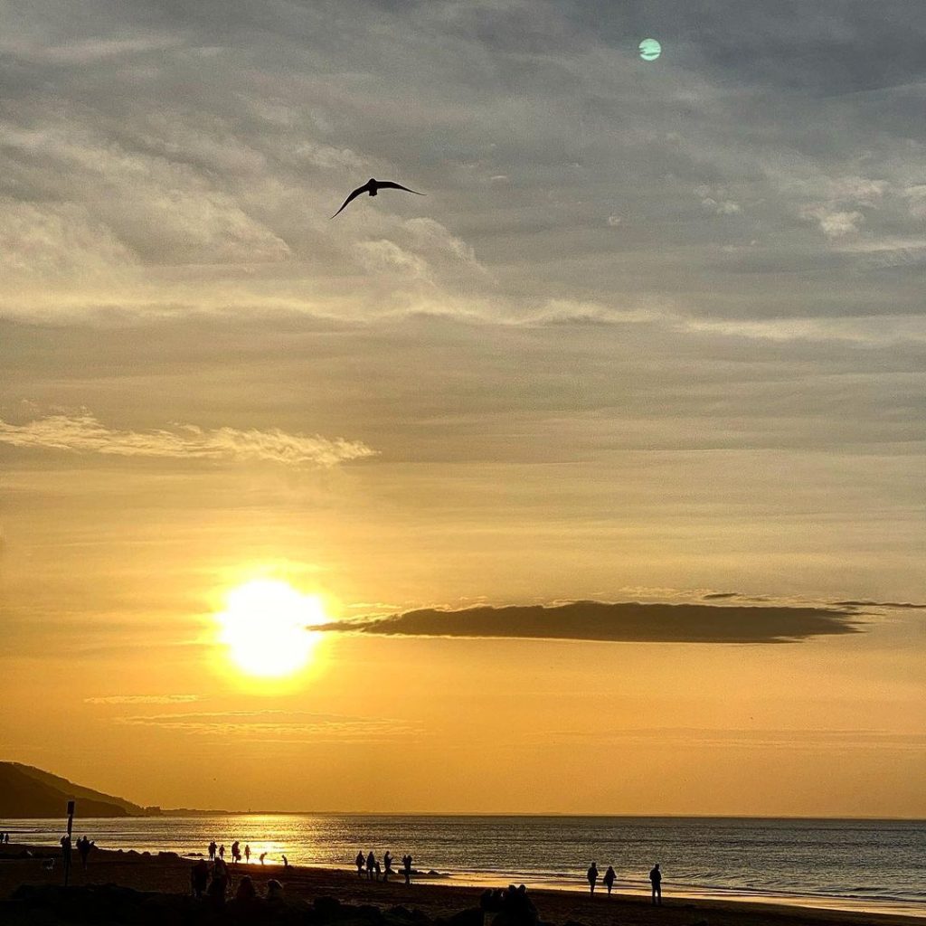 plage honfleur coucher de soleil oiseau