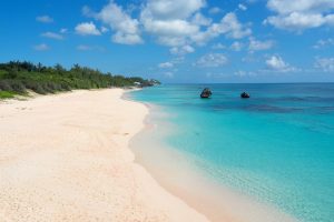 Plages roses