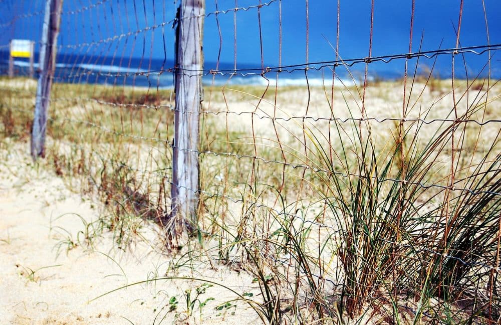 sable plage Hossegor