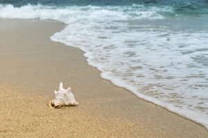 Les plages de Brem sur Mer