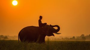 Quel budget prévoir pour un visa électronique pour la Tanzanie ?