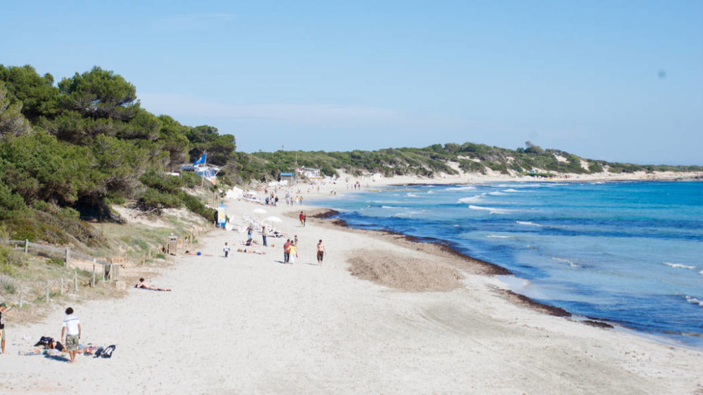 Platja de ses Salines