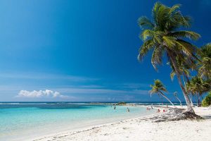 les plus belles plages de guadeloupe