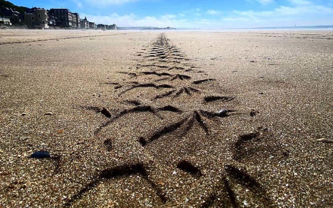 plage de sable pres honfleur