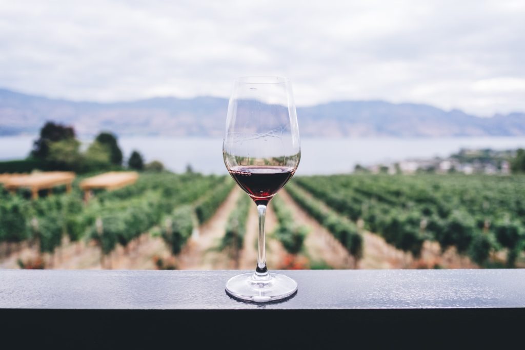 vin grec à Athènes