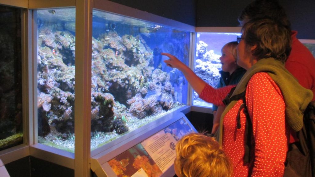 Aquarium de Dunkerque