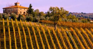 Visite de vignobles et dégustation de vins à Rome