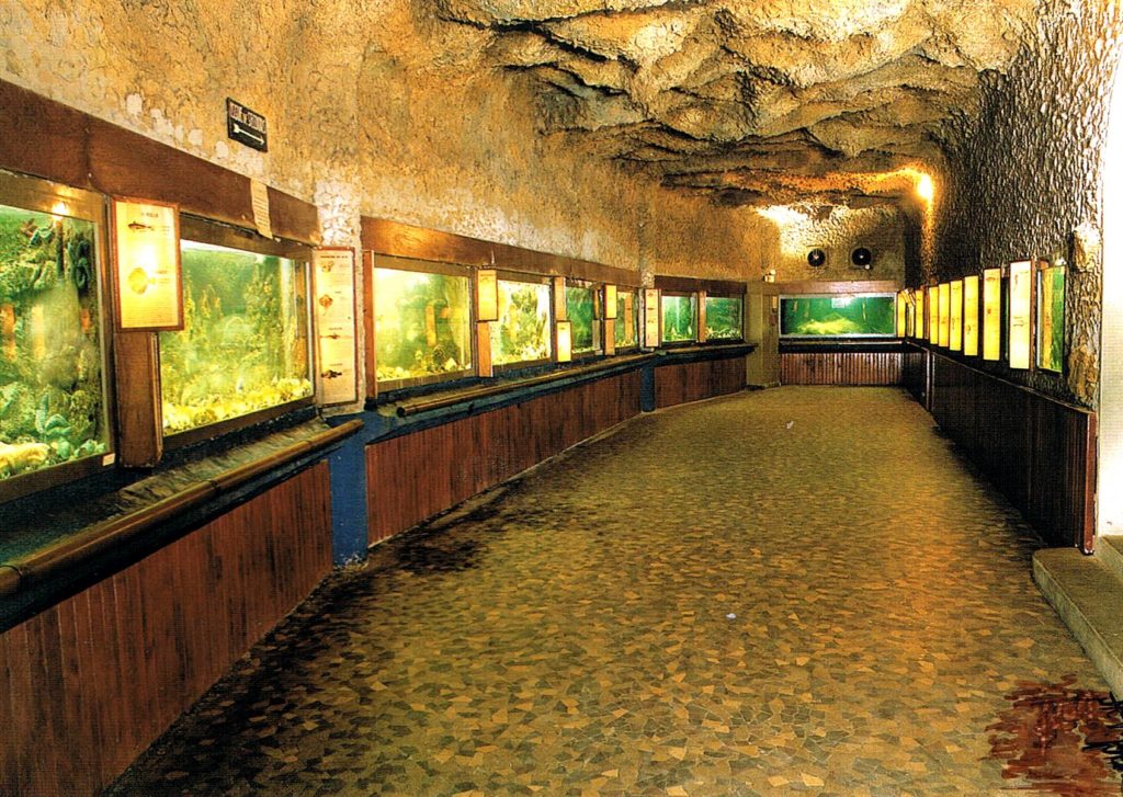 aquarium d’Arcachon quand il pleut
