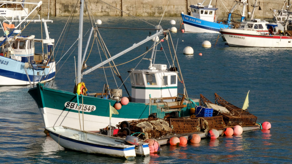 Le port de pêche d'Erquy