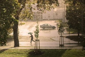 Que faire à Fouesnant quand il pleut