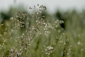 Que faire à Fouras quand il pleut