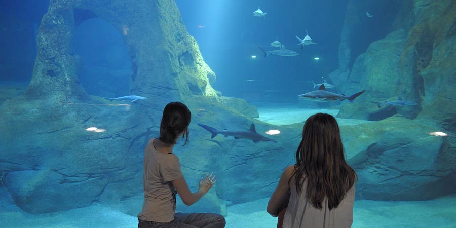 aquarium de Biarritz