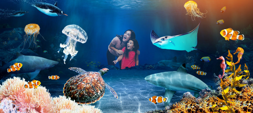 Aquarium Sea Life Londres