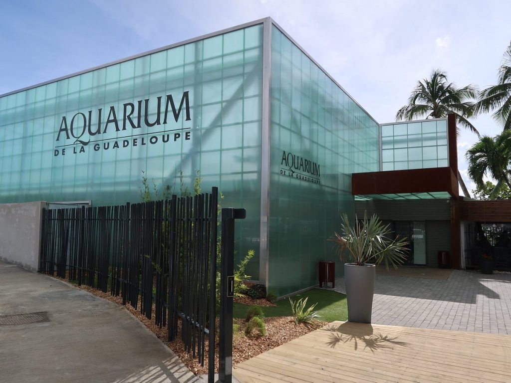 Visiter l'aquarium de la Guadeloupe