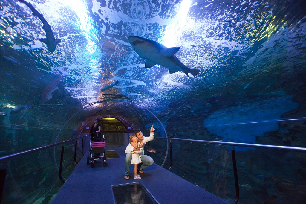 aquarium de Saint-Sébastien