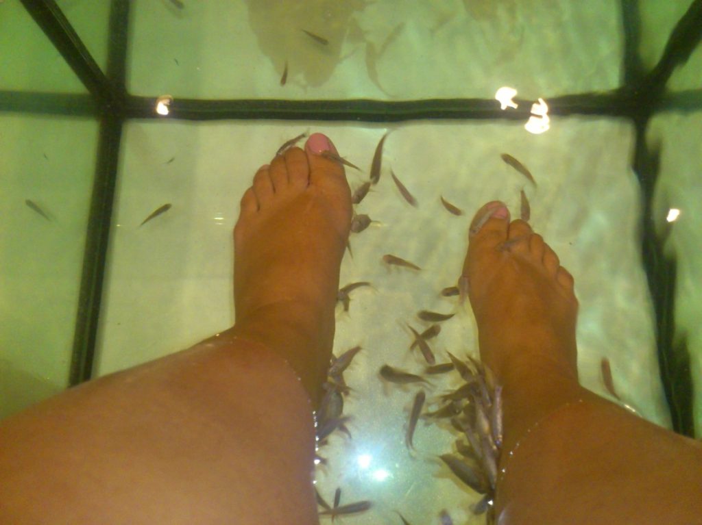 Fish Spa Agde