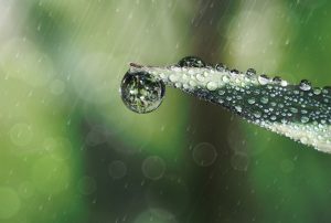 Que faire à Orléans quand il pleut