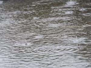 Que faire à Pornic quand il pleut
