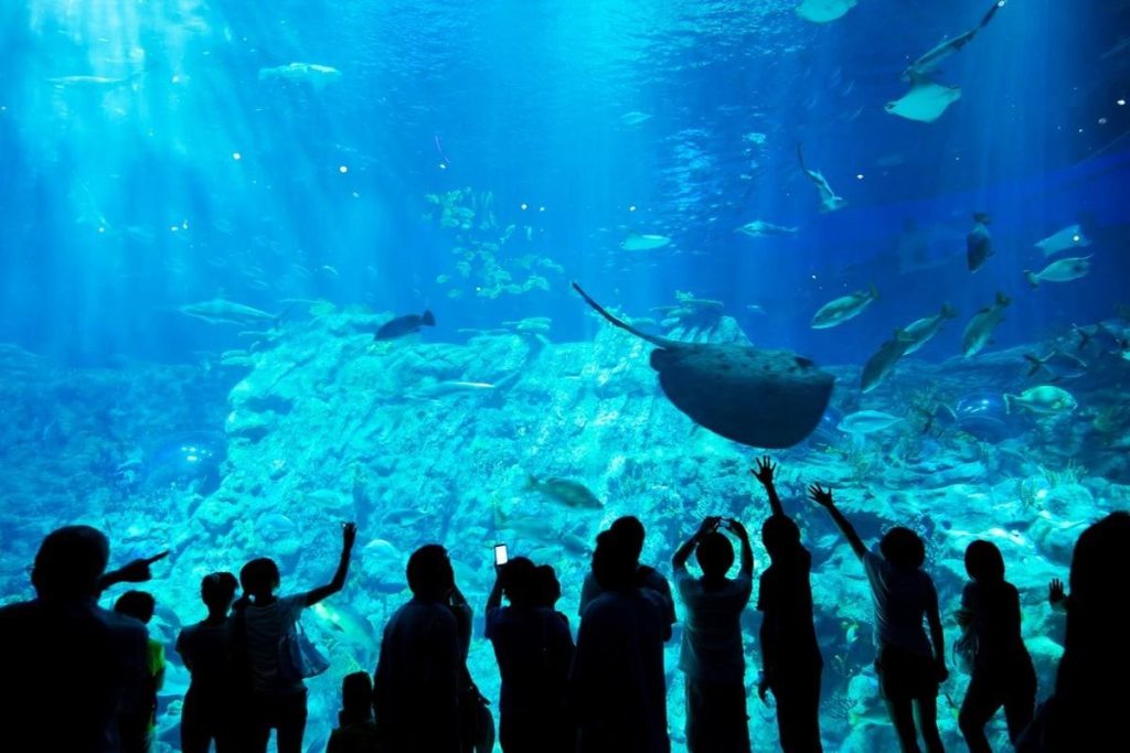 aquashow audierne