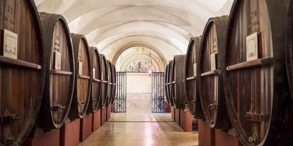 domaine Patriarche Père et FILS