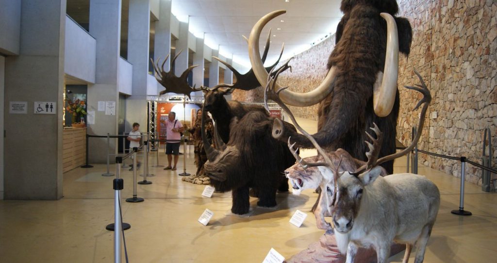 musée de Préhistoire