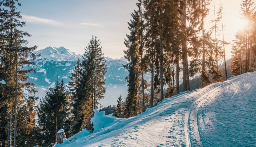 ski