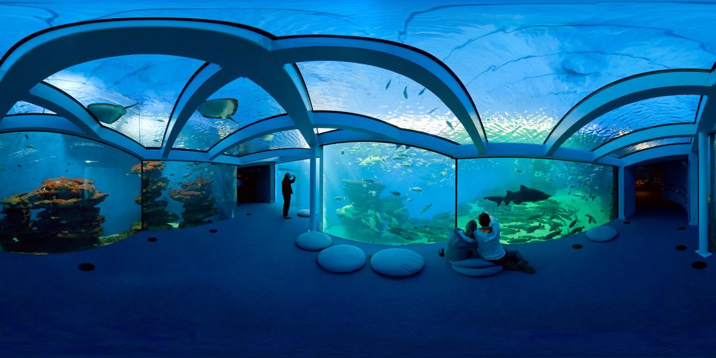 aquarium de palma