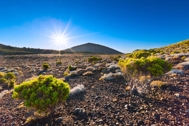 Piton de la fournaise Île de la Réunion