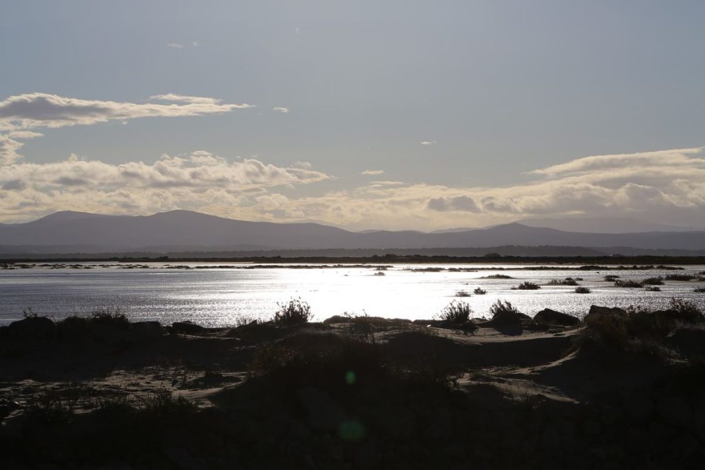Gruissan Plage sauvage