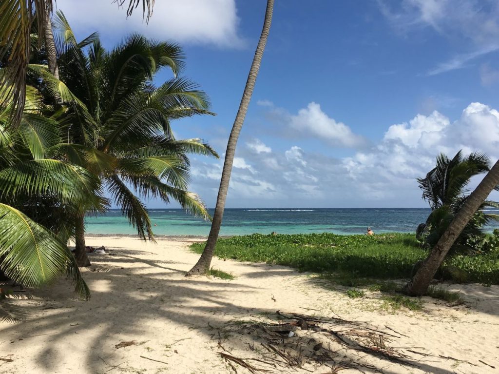 plage de Martinique en aout
