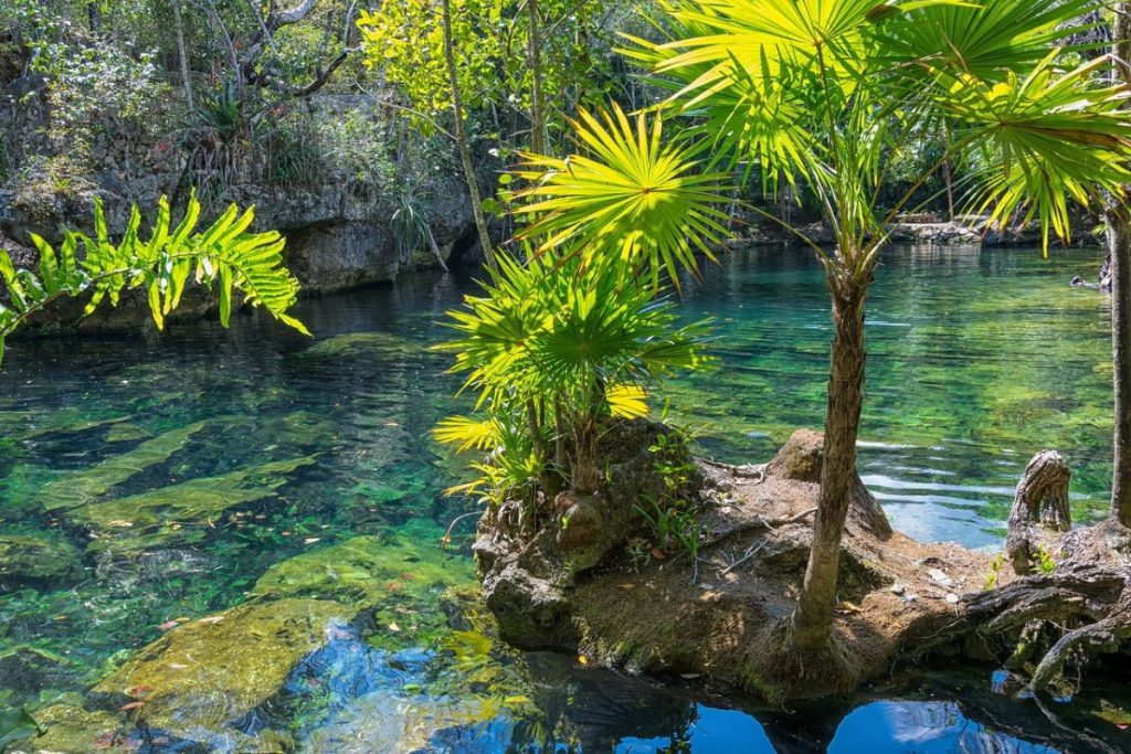 point eau avec palmier à Yucatan