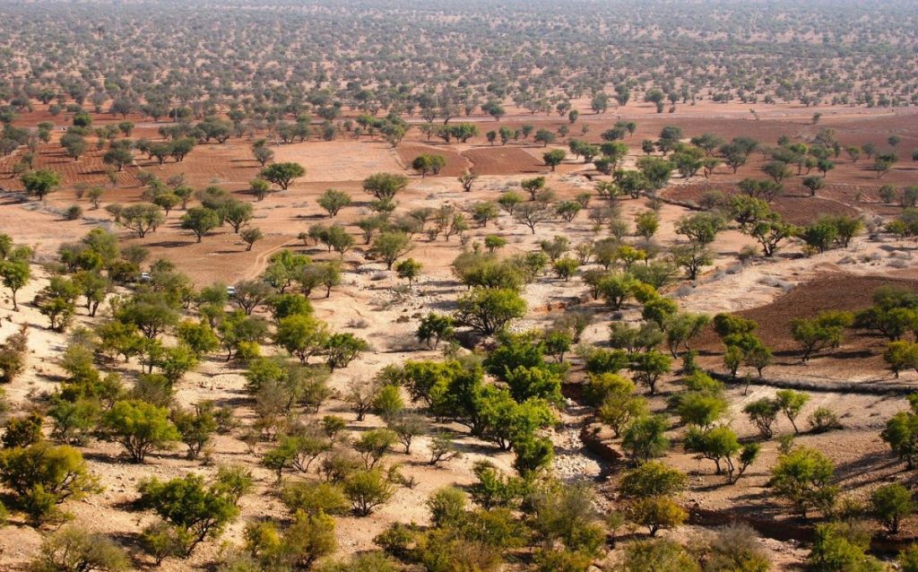 désert du Maroc