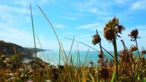 Organiser un week-end en amoureux sur la côte d’Opale