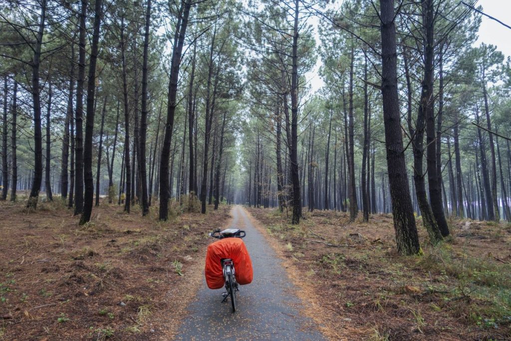 balade à vélo dans les Landes