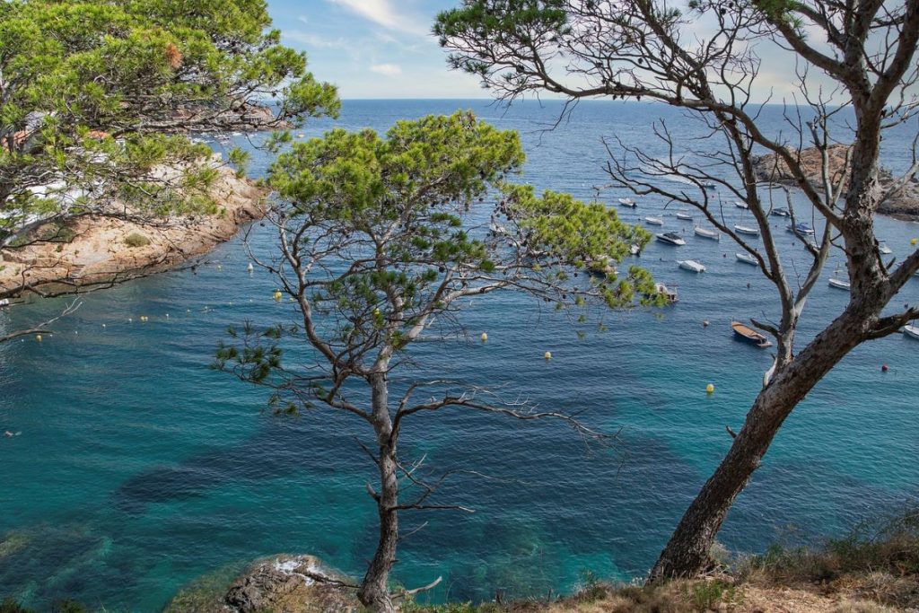 pin et mer costa brava