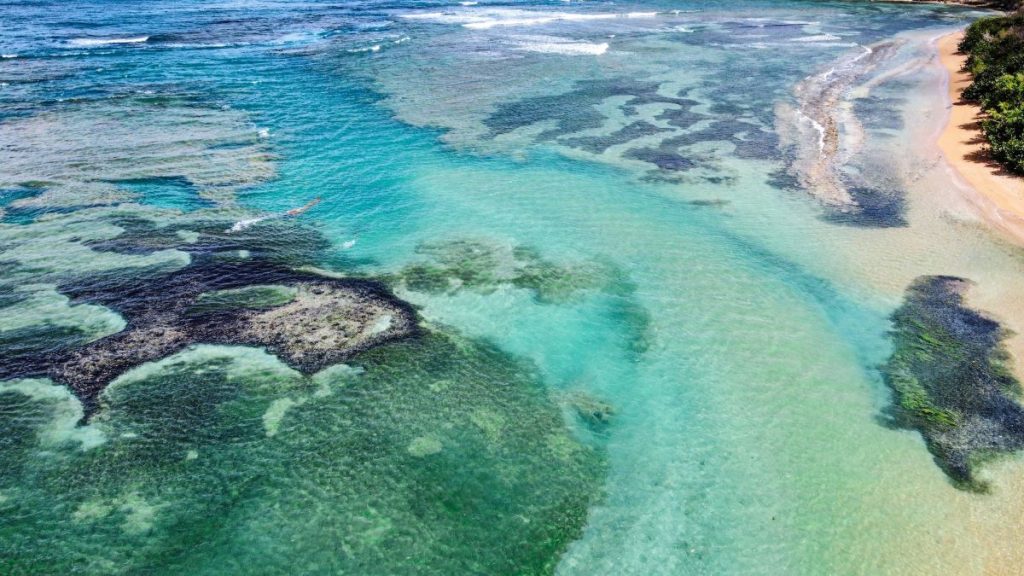 plage Escondida au Mexique