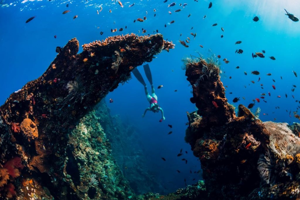 plongée sous-marine Açores